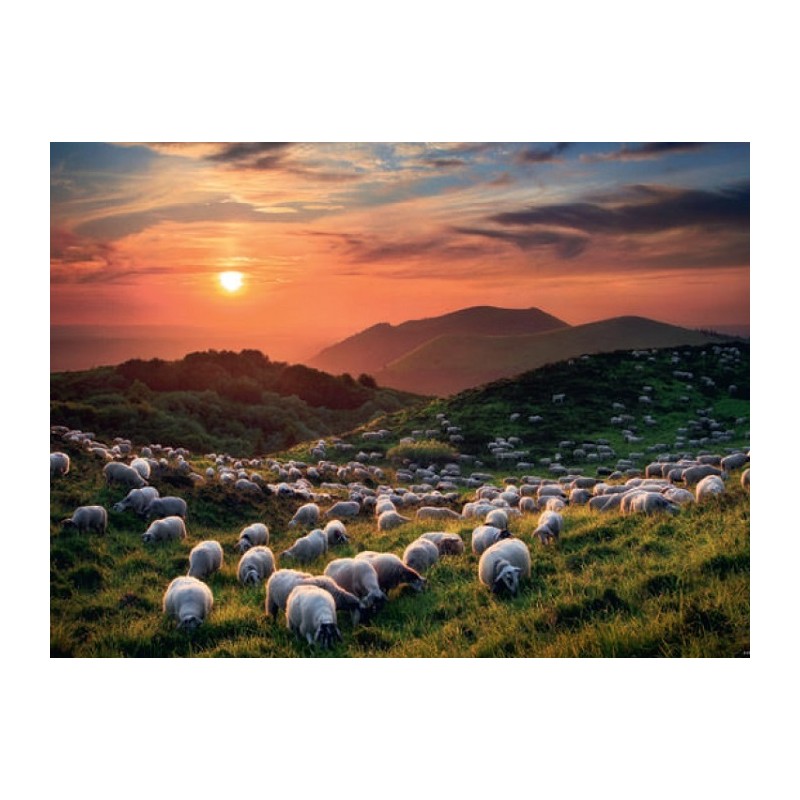 Puzzle 1000p Sheep And Volcanoes - Heye