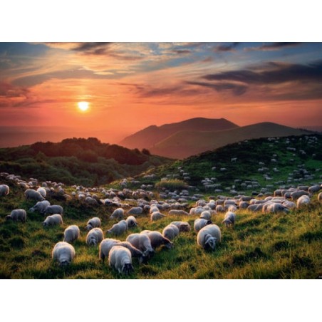 Puzzle 1000p Sheep And Volcanoes - Heye