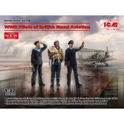 WWII Pilots of British...